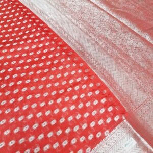 Sarees S10027