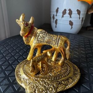 Return Gift VRG10011