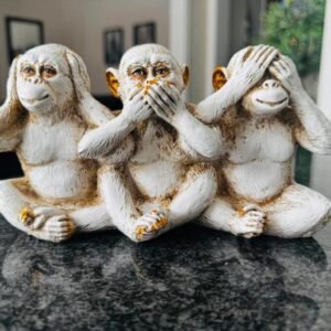 Home Decor VH10012