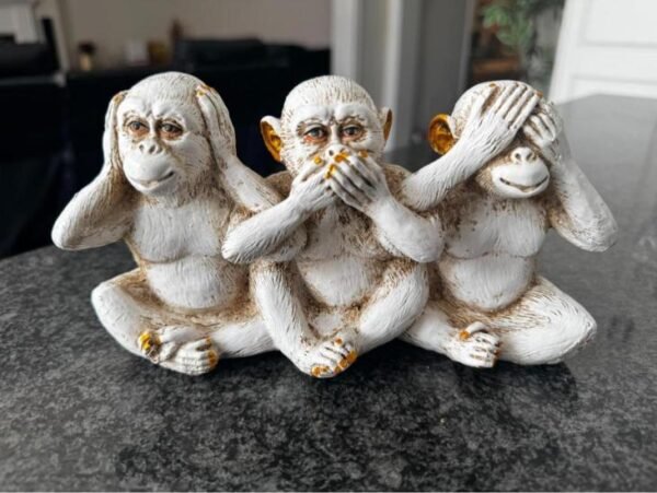 Home Decor VH10012 - Image 2