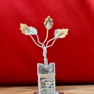 Tulsi Plant RG10025