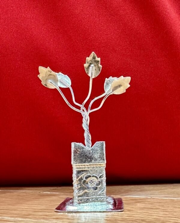 Tulsi Plant RG10025
